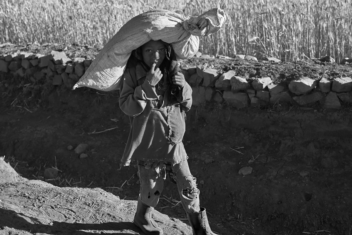 Sona - Simien Mountains - Ethiopia